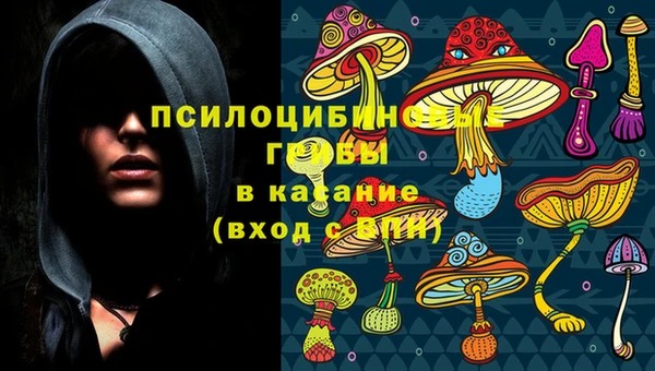 стаф Абаза
