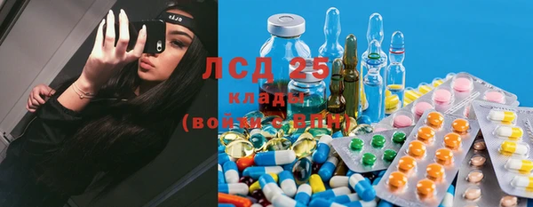 стаф Абаза